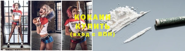тгк Абинск