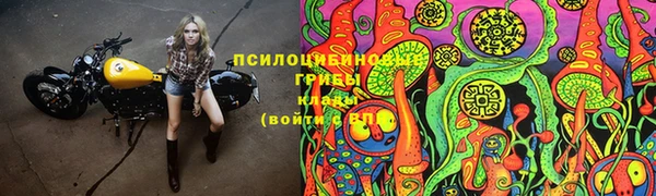 тгк Абинск