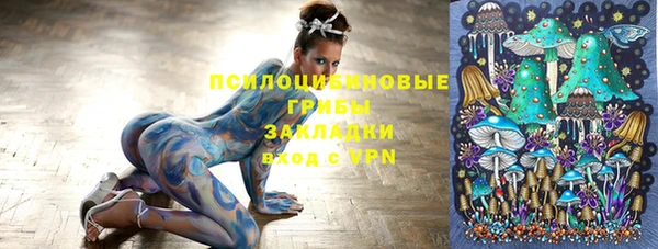 тгк Абинск