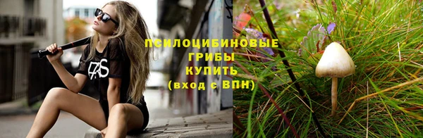 тгк Абинск