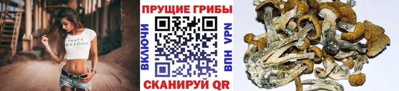Псилоцибиновые грибы мухоморы  Барнаул 